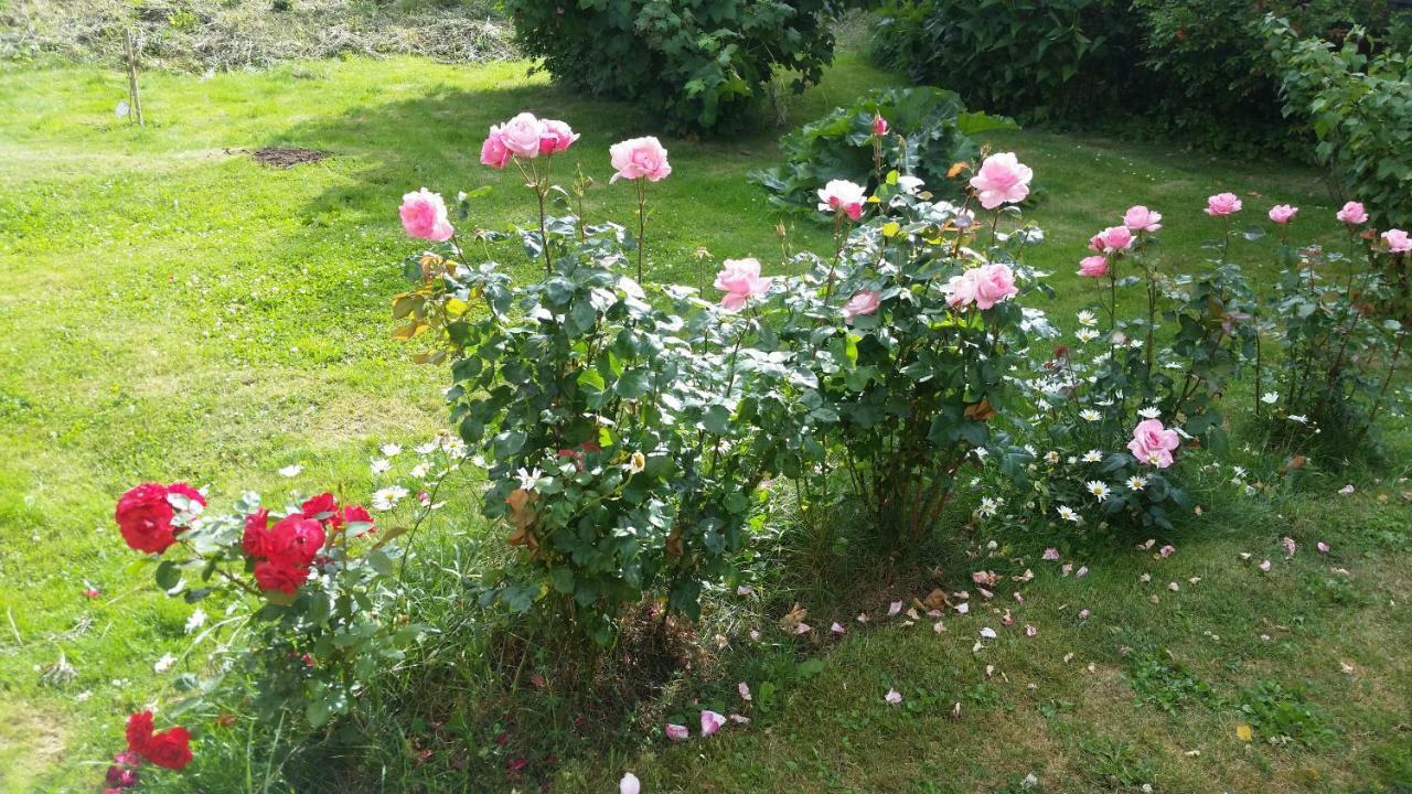 Kinne-Vedum Bed And Breakfast Gotene Экстерьер фото